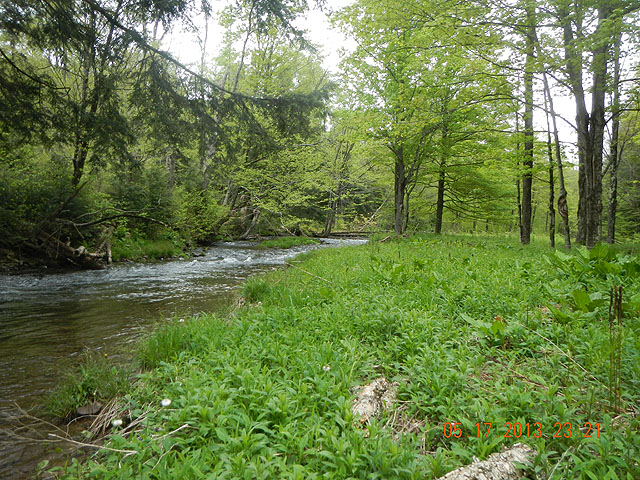camp 05-17-13 018.jpg -                                